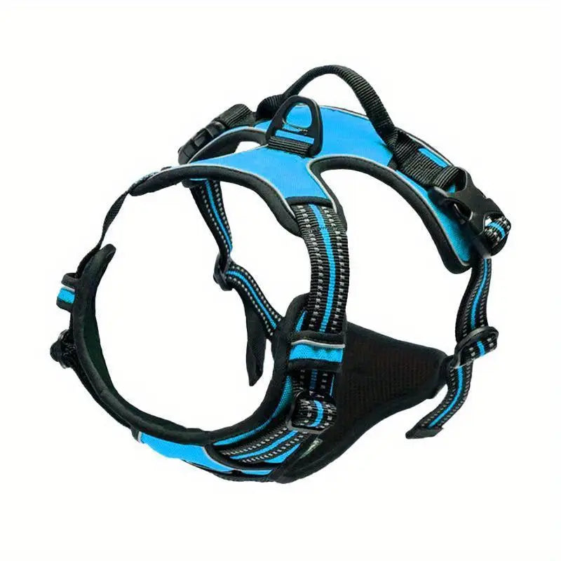 Boundless Harness – Freedom Meets Control