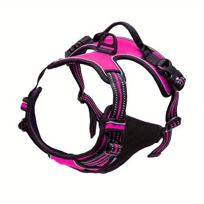 Boundless Harness – Freedom Meets Control