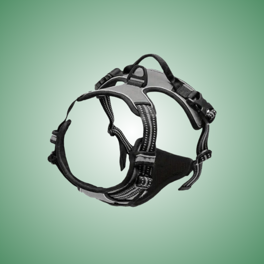 Boundless Harness – Freedom Meets Control