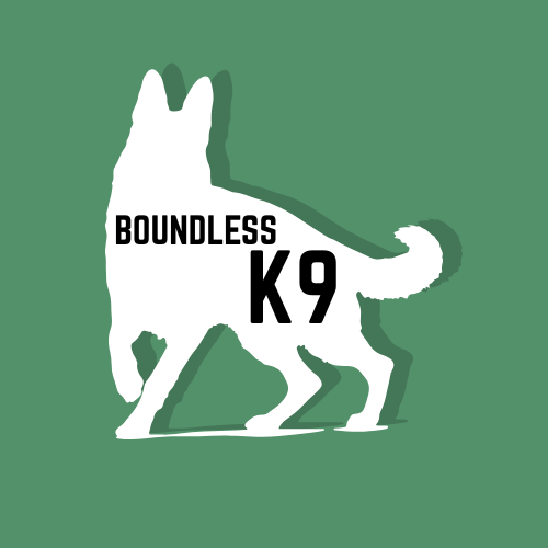 Boundless K9